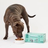 Meat and Fish Wet Dog Food Variety Pack (395g)
