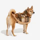 Classic Plaid Warmth Human & Dog Poncho - Festive Companions