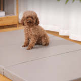 Waterproof PU Leather Multifunctional Orthopedic Foldable Dog Mat