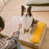 Colorblock Waterproof Removable Dog Bed Cover and Pillow Set - Everdream