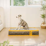 Hooman Innerspring Coils Orthopedic Human Dog Bed - Everdream