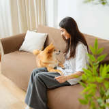 Waterproof Non-Slip Furniture Protector Pet Couch Cover-Slipsafe