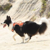 Multifunction Explosion-Proof Anti Pull Harness Medium to Large Dog Harness