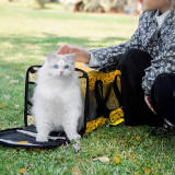 Breathable Mesh Foldable Lightweight Travel Dog & Cat Carrier Bag