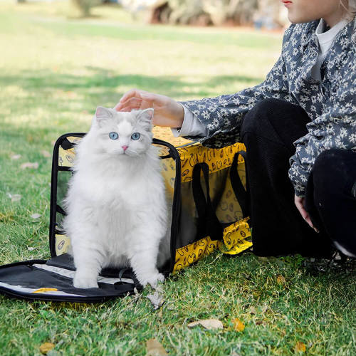 Breathable Mesh Foldable Lightweight Travel Dog & Cat Carrier Bag
