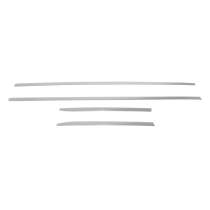 2022-2025 Honda Civic 11.gen Sedan & HB Side Door Molding Trim Stainless Steel