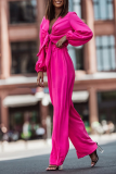 Fashion Solid Bandage V Neck Long Sleeve Two Pieces