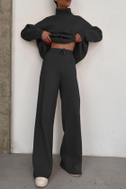 Casual Solid Patchwork Turtleneck Long Sleeve Two Pieces