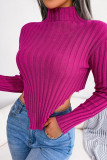 Street Solid Asymmetrical Half A Turtleneck Tops