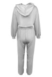 Street Sportswear Solid Solid Color Hooded Collar Long Sleeve Two Pieces