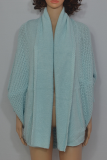 Casual Solid Patchwork Basic Outerwear Sweater