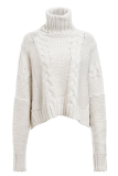Fashion Casual Solid Patchwork Turtleneck Tops Sweater