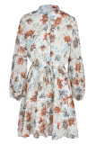 Fashion Casual Print Patchwork Turndown Collar Long Sleeve Dresses