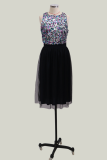 Sexy Patchwork Lace Sequins O Neck Mesh Dress Dresses