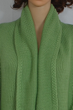 Casual Solid Patchwork Basic Outerwear Sweater
