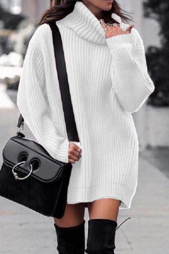 Casual Solid Patchwork Basic Turtleneck Dresses