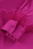 Casual Solid Patchwork Buckle Feathers Turndown Collar Tops