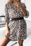 Casual Print Patchwork V Neck Straight Dresses
