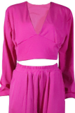 Casual Solid Patchwork Fold V Neck Long Sleeve Two Pieces