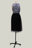 Sexy Patchwork Lace Sequins O Neck Mesh Dress Dresses