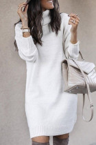 Casual Solid Solid Color Turtleneck Tops