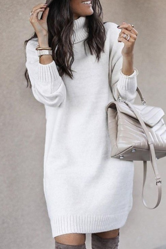 Casual Solid Solid Color Turtleneck Tops