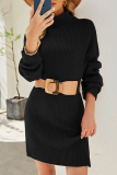 Casual Solid Patchwork Without Belt Turtleneck Dresses Sweater