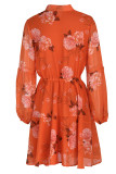 Fashion Casual Print Patchwork Turndown Collar Long Sleeve Dresses
