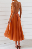 Casual Solid Mesh V Neck Cake Skirt Dresses