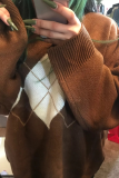 Casual Geometric Patchwork Contrast O Neck Tops Sweater