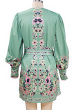 Bohemian Elegant Print Printing V Neck A Line Dresses