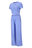 Fashion Solid Patchwork O Neck Short Sleeve Two Pieces