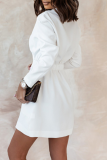 Casual Solid Patchwork Turndown Collar Shirt Dress Dresses
