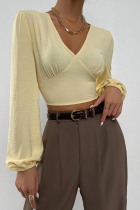 Elegant Solid Frenulum Backless V Neck Tops