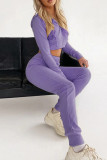 Casual Simplicity Solid Patchwork Zipper Hooded Collar Long Sleeve Two Pieces
