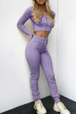 Casual Simplicity Solid Patchwork Zipper Hooded Collar Long Sleeve Two Pieces