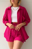 Casual Simplicity Solid Fold Turndown Collar Long Sleeve Two Pieces