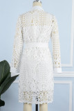 Sexy Elegant Solid Hollowed Out Turndown Collar A Line Dresses