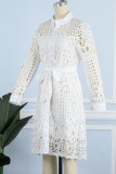 Sexy Elegant Solid Hollowed Out Turndown Collar A Line Dresses
