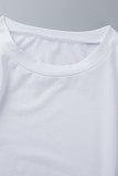 Casual Solid Asymmetrical Solid Color O Neck Long Sleeve Two Pieces