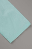Casual Solid Buckle Solid Color Turndown Collar A Line Dresses