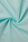 Casual Solid Buckle Solid Color Turndown Collar A Line Dresses