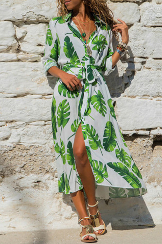 British Style Elegant Print Printing Turndown Collar A Line Dresses