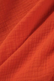 Casual Simplicity Solid Fold Turndown Collar Long Sleeve Two Pieces
