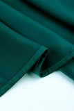 Work Elegant Solid Frenulum Solid Color Turn-back Collar A Line Dresses