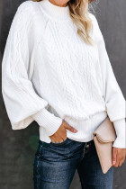 Sweet Elegant Solid Solid Color Turtleneck Tops