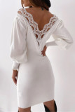 Elegant Simplicity Solid Lace Solid Color V Neck Pencil Skirt Dresses