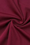 Sweet Elegant Solid Backless Slit Scarf Collar A Line Dresses