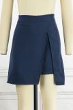 Elegant Simplicity Solid Zipper Regular High Waist Type A Solid Color Bottoms