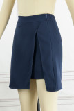 Elegant Simplicity Solid Zipper Regular High Waist Type A Solid Color Bottoms